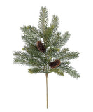 #SP622 Alpine Fir Pick