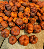 #FP11 Orange Unscented Dried Putka Pod Mini "PUMPKINS" 🎃 #1 Seller