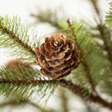 TR1177 3Ft Pine Tree