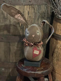 DAW-BEN  Benny Bunny