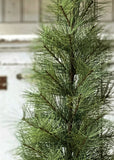 #XLA30166 Primitive 6Ft Timberline Pine Tree